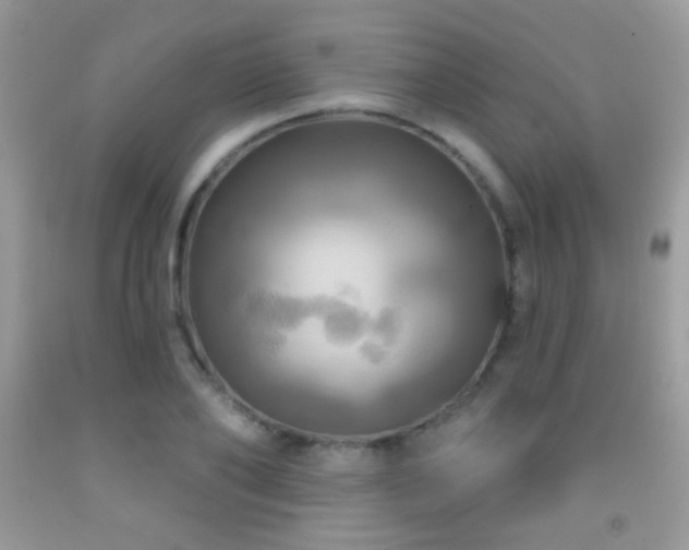 X0000091910886200709051416