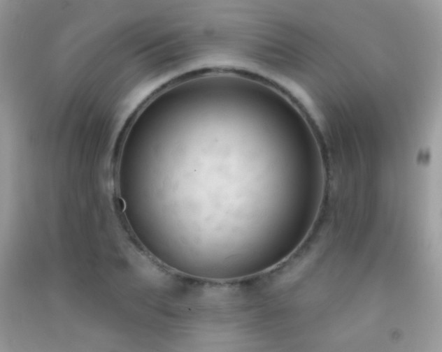 X0000091910887200709051416