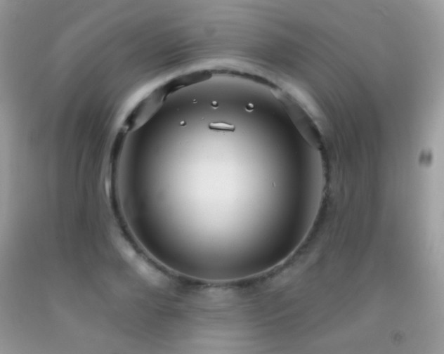 X0000091910888200709051416