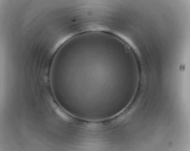 X0000091910889200709051416