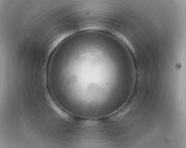 X0000091910890200709051416