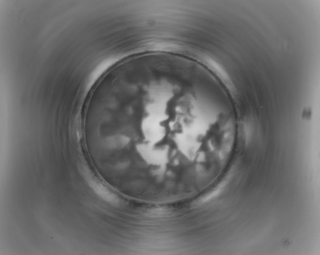X0000091910891200709051416