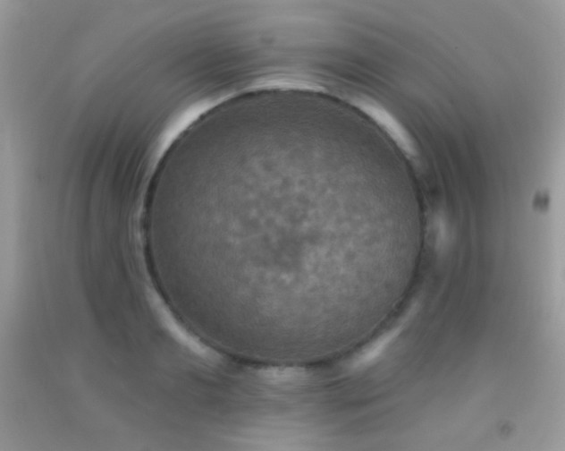 X0000091910893200709051416