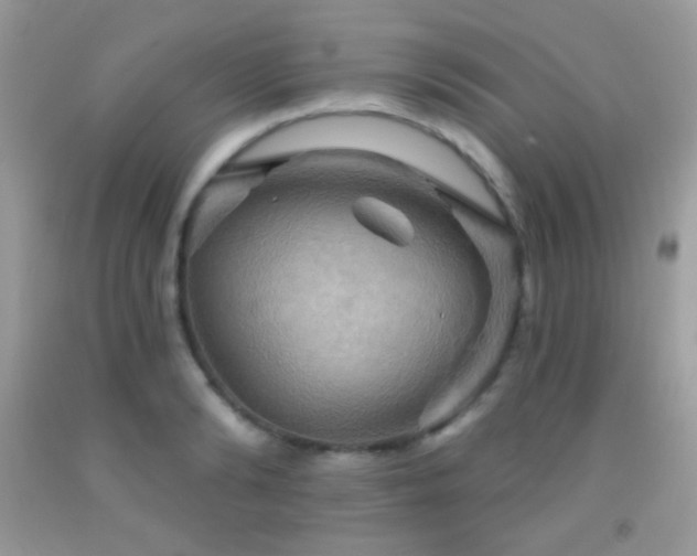 X0000091910894200709051416