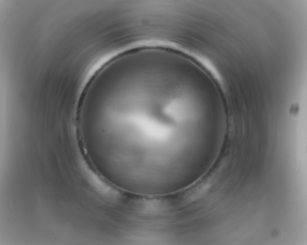 X0000091910895200709051416