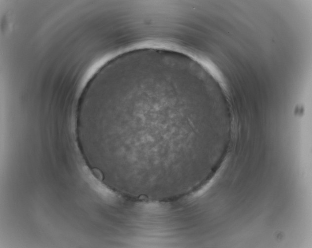 X0000091910896200709051416