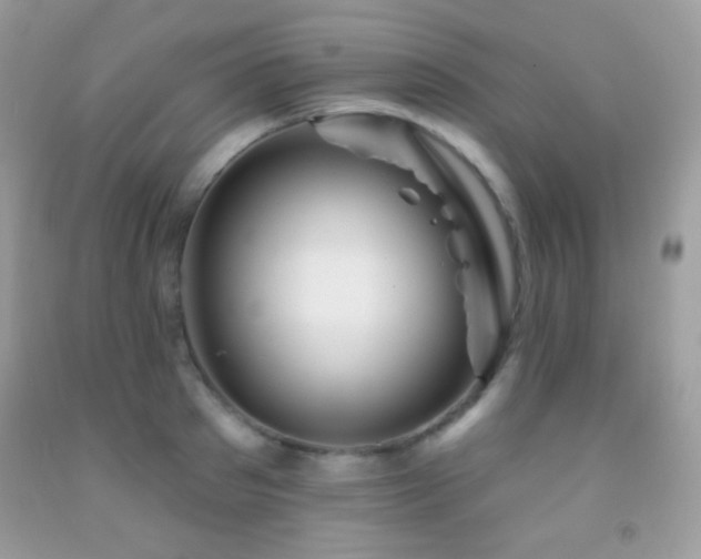 X0000091910897200709051416