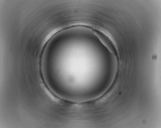 X0000091910898200709051416