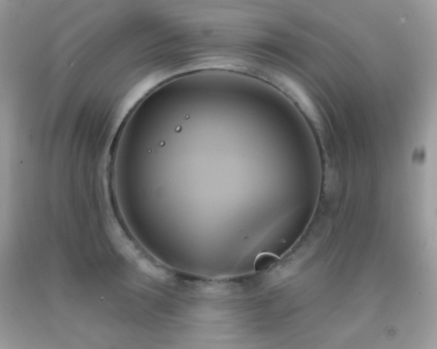 X0000091910899200709051416