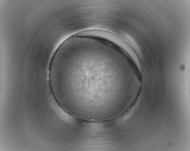 X0000091910900200709051416