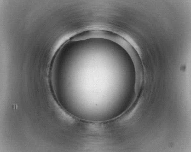 X0000091910901200709051416
