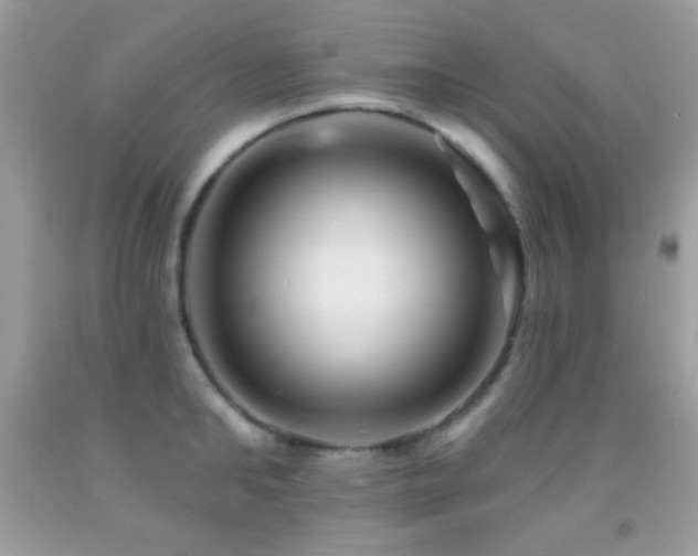 X0000091910902200709051416