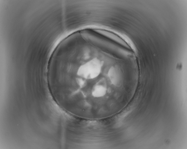 X0000091910903200709051416