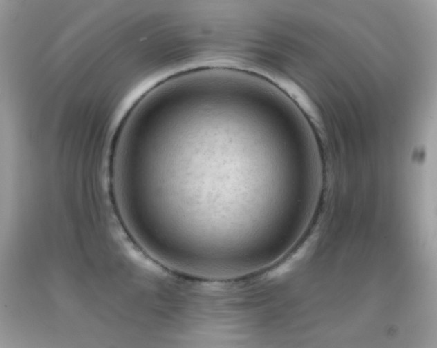 X0000091910904200709051416