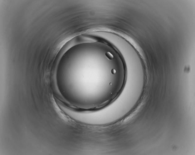 X0000091910905200709051416