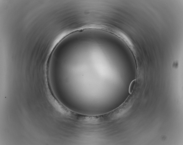 X0000091910907200709051416