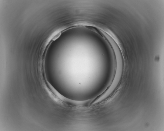 X0000091910909200709051416