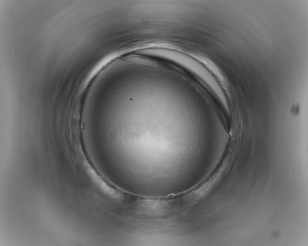 X0000091910910200709051416