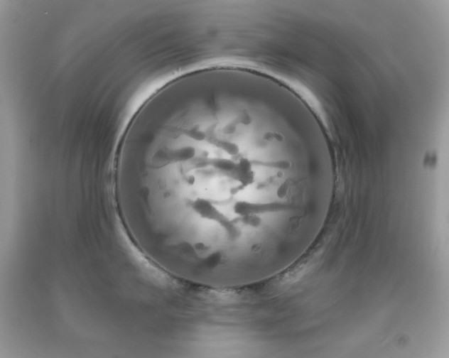 X0000091910911200709051416