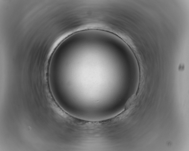 X0000091910912200709051416
