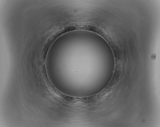X0000091910913200709051415
