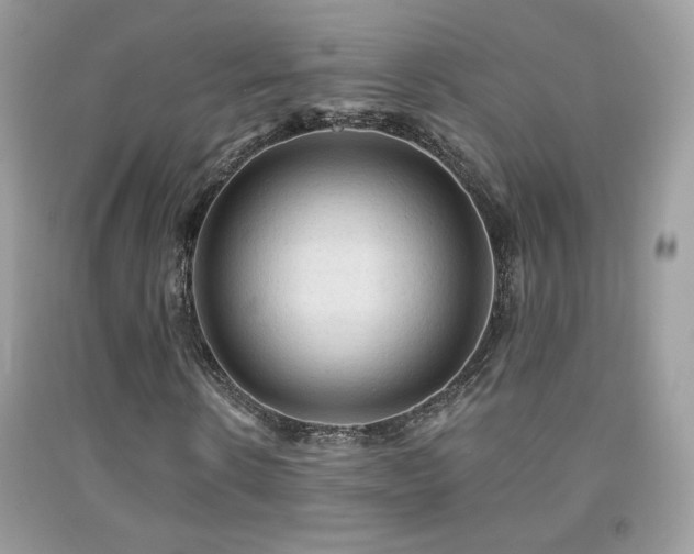 X0000091910914200709051415