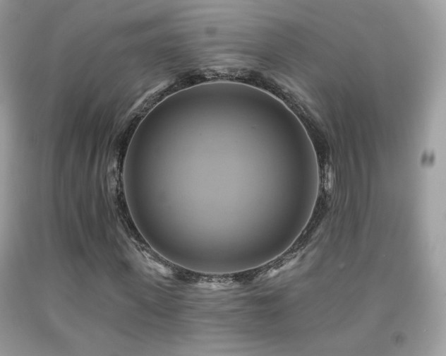 X0000091910915200709051415