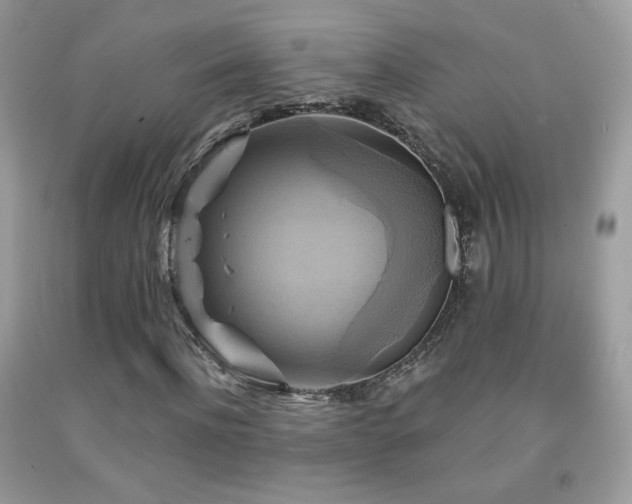 X0000091910916200709051415