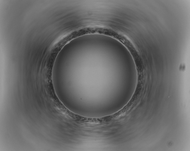 X0000091910919200709051415