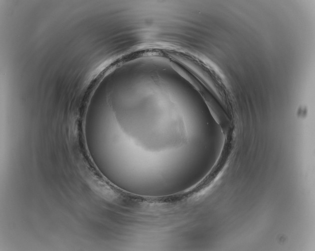 X0000091910921200709051415