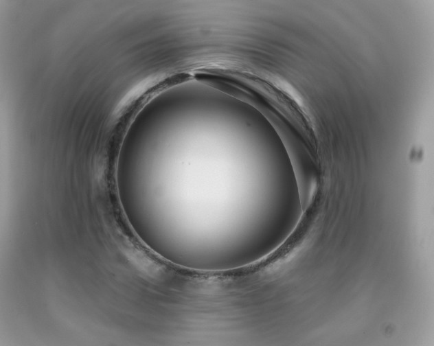 X0000091910922200709051415