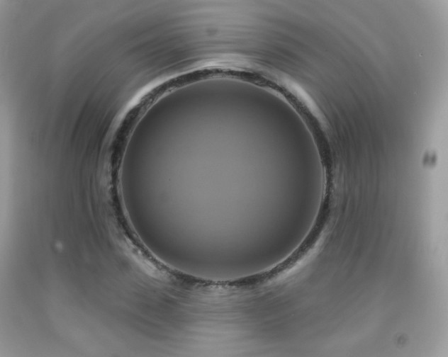 X0000091910923200709051415