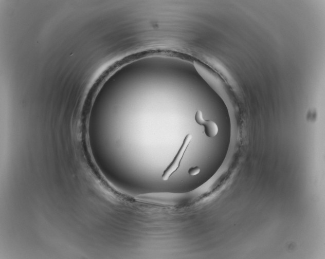 X0000091910924200709051415