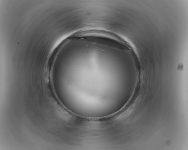 X0000091910925200709051415