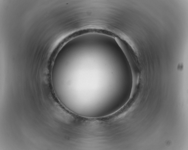 X0000091910926200709051415