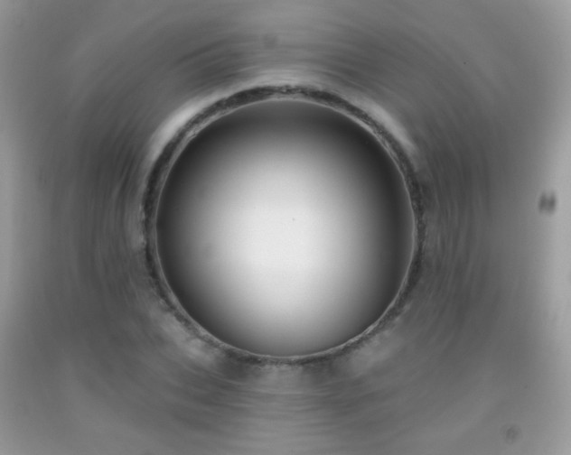 X0000091910927200709051415