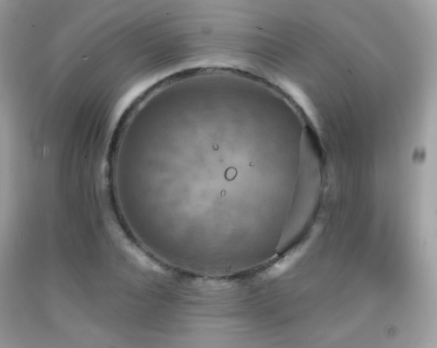 X0000091910928200709051415