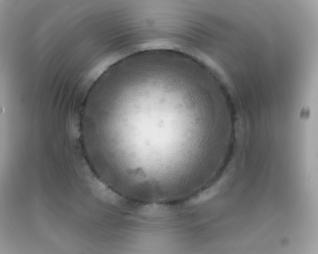 X0000091910929200709051415