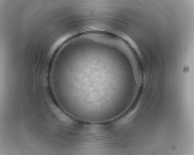 X0000091910930200709051415