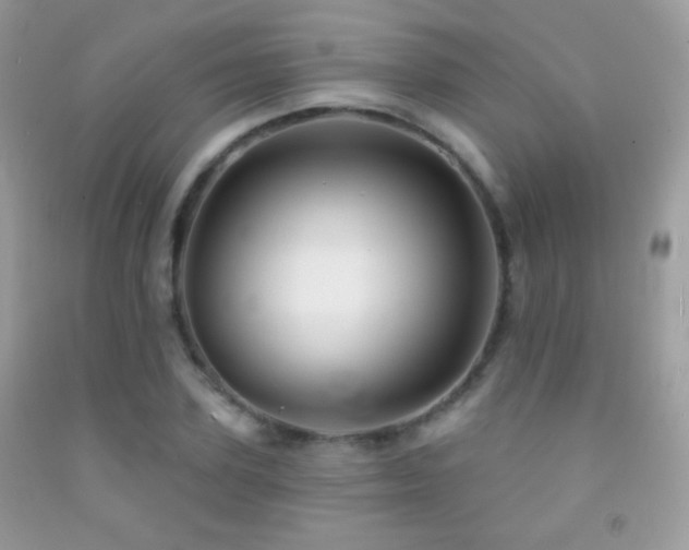 X0000091910931200709051415