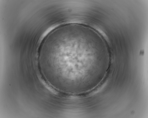X0000091910933200709051415