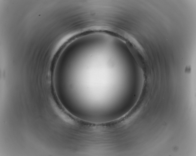 X0000091910934200709051415