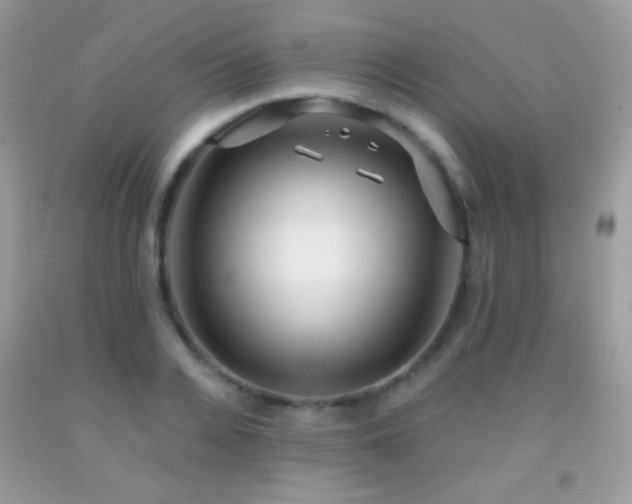 X0000091910936200709051415