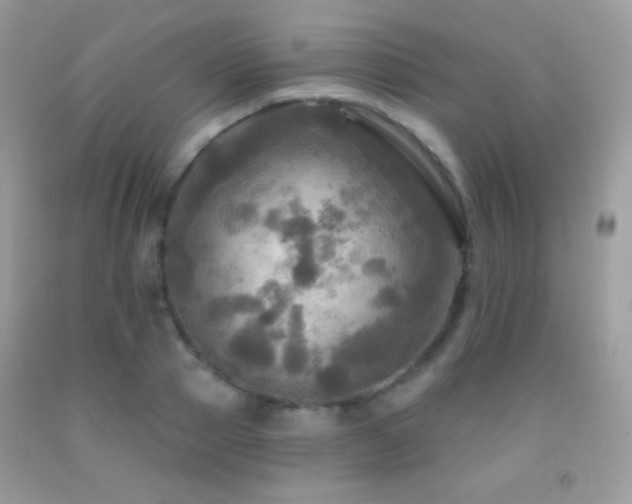 X0000091910937200709051415