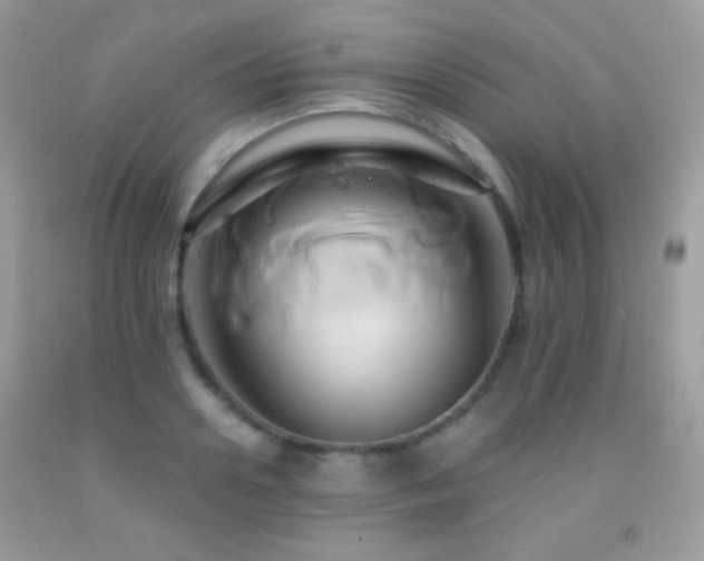 X0000091910938200709051415