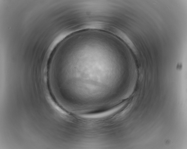 X0000091910939200709051415