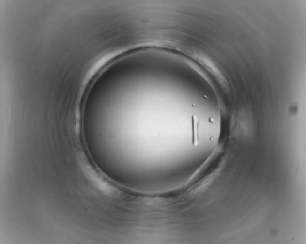 X0000091910940200709051415