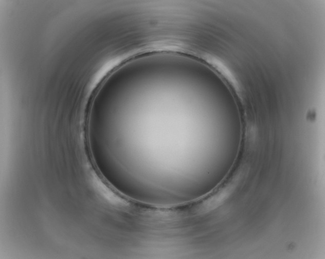 X0000091910941200709051415