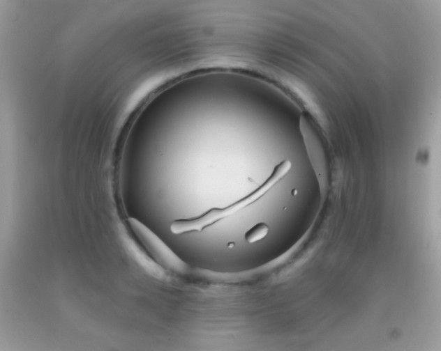 X0000091910942200709051415