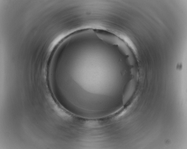 X0000091910944200709051415